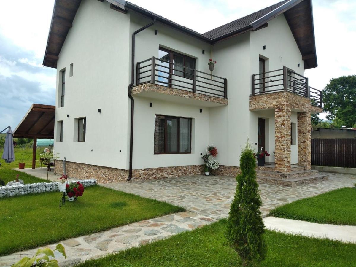 Pensiunea Casa Nusa Baia de Fier Luaran gambar