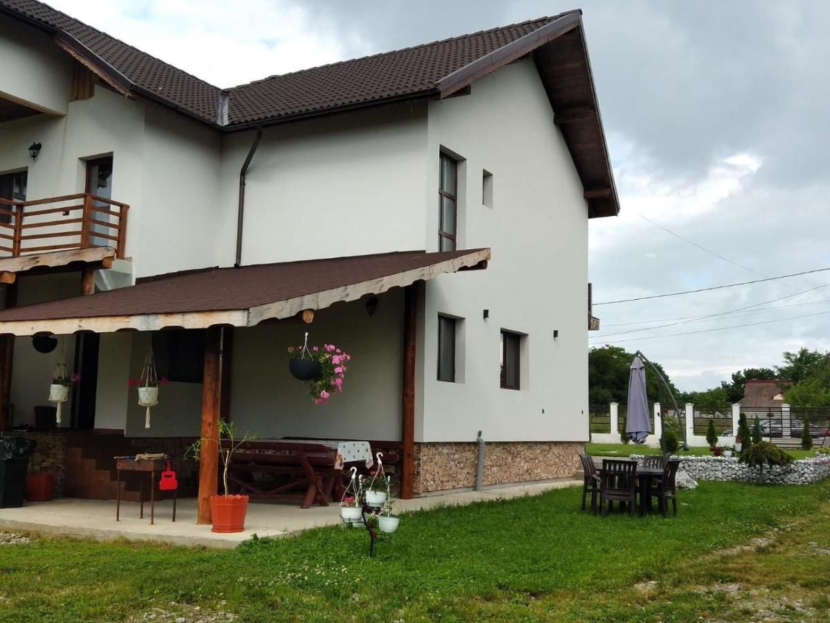 Pensiunea Casa Nusa Baia de Fier Luaran gambar