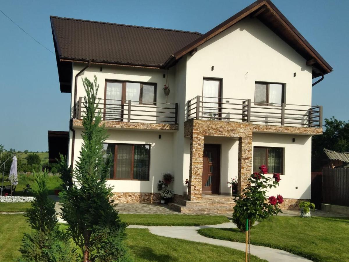 Pensiunea Casa Nusa Baia de Fier Luaran gambar