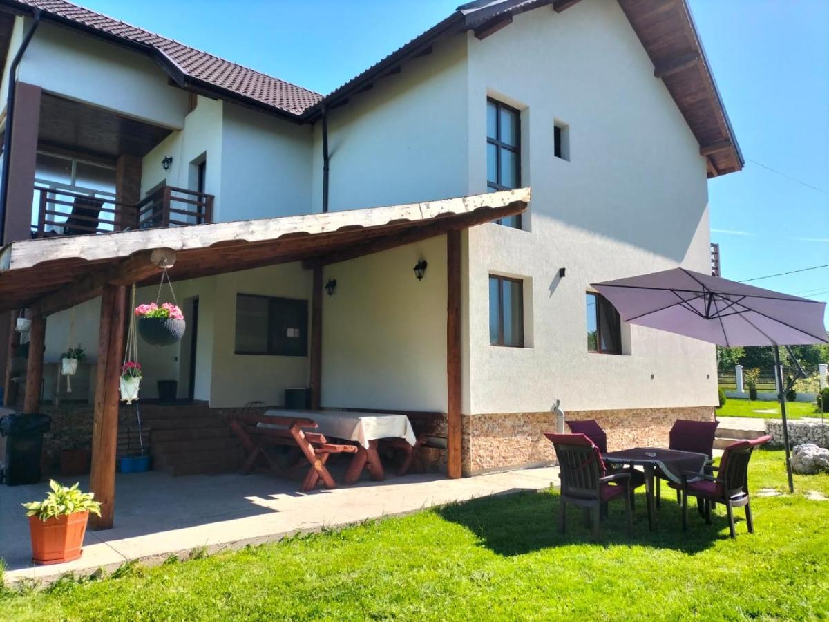 Pensiunea Casa Nusa Baia de Fier Luaran gambar